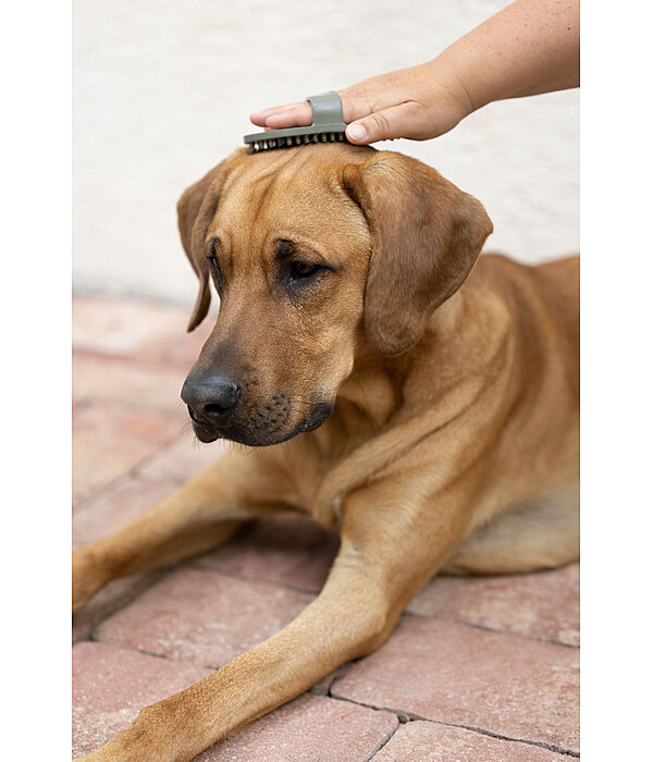 Dog Curry Comb Zeyna