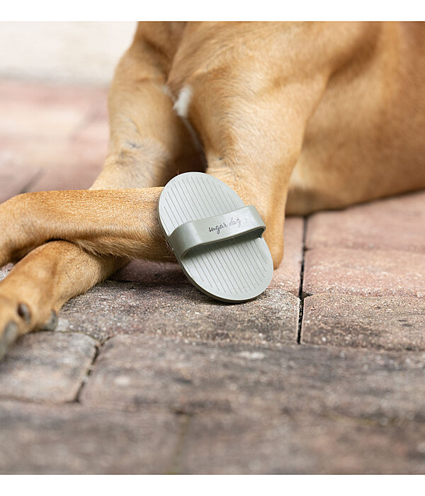 Dog Curry Comb Zeyna