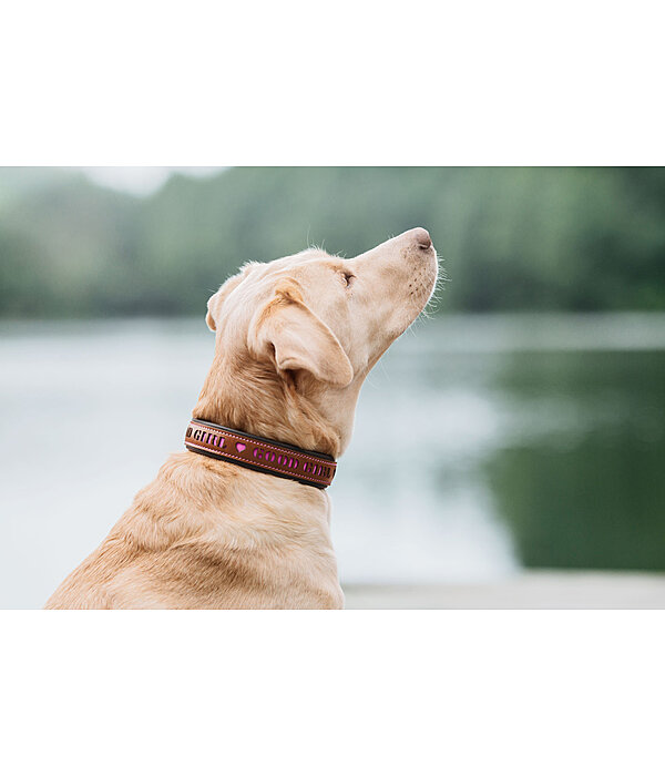 Leather Dog Collar Good Dog