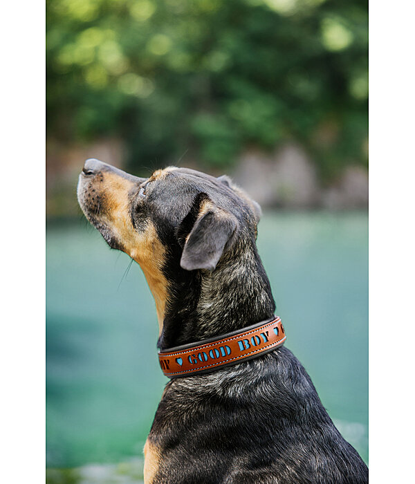 Leather Dog Collar Good Dog