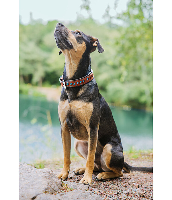 Leather Dog Collar Good Dog