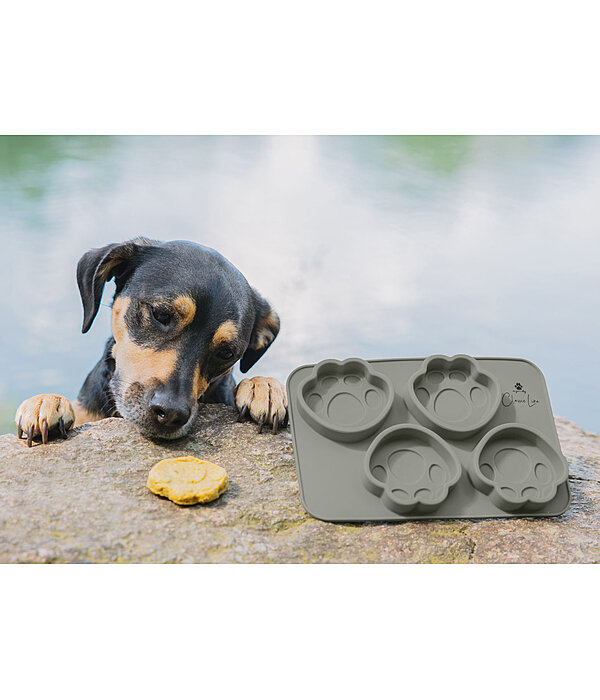 Dog Biscuit Silicone Baking Mould