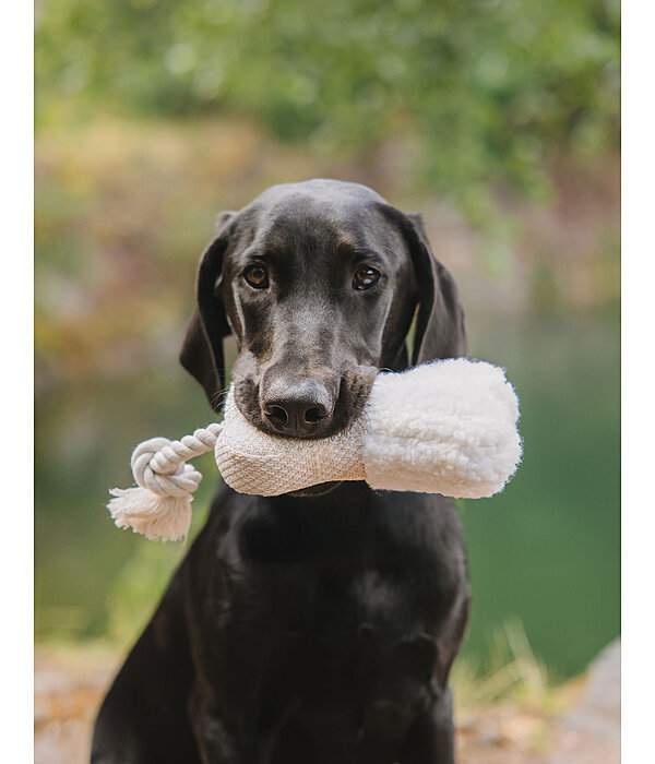 Puppy Toy Edda