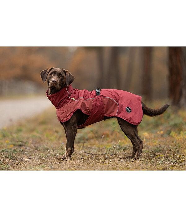 Lightweight Dog Raincoat Alma, 0g