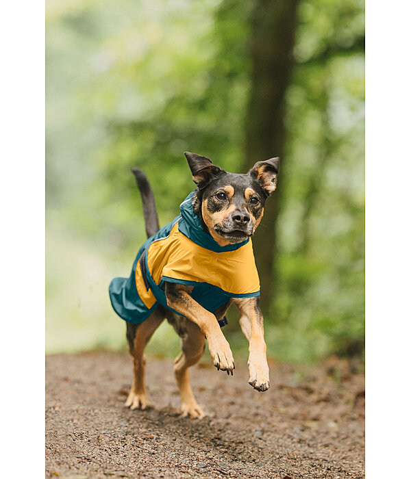 Lightweight Dog Raincoat Alma, 0g