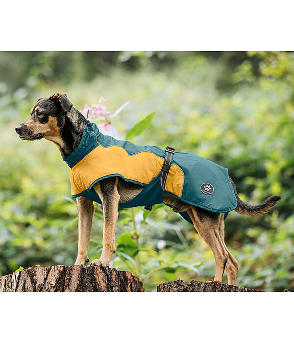 Lightweight Dog Raincoat Alma, 0g