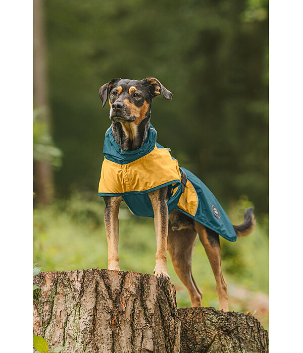Lightweight Dog Raincoat Alma, 0g