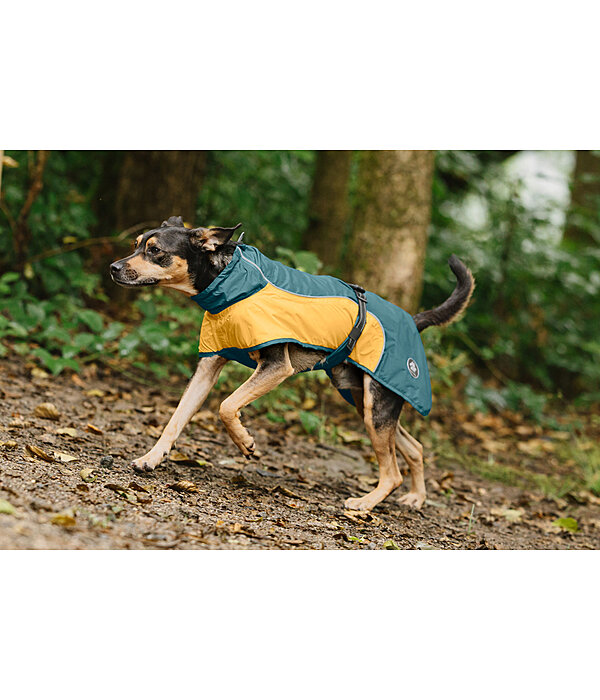 Lightweight Dog Raincoat Alma, 0g