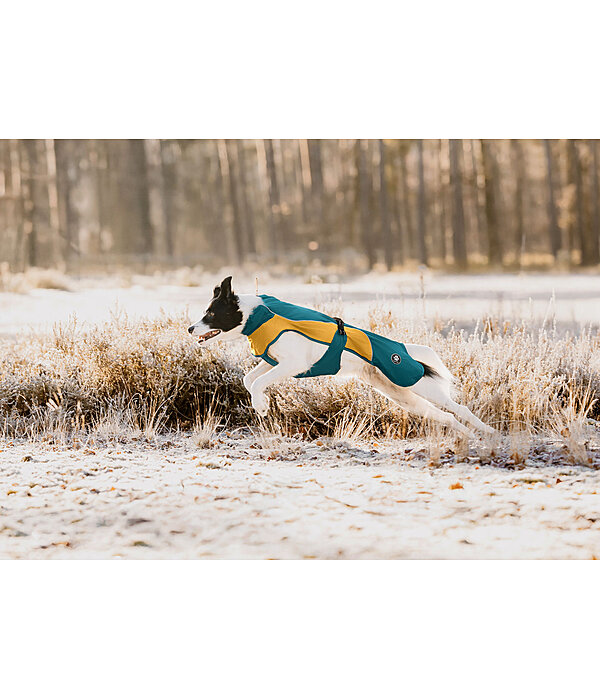 Lightweight Dog Raincoat Alma, 0g