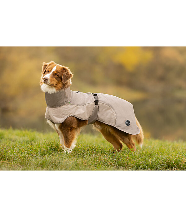 Lightweight Dog Raincoat Alma, 0g