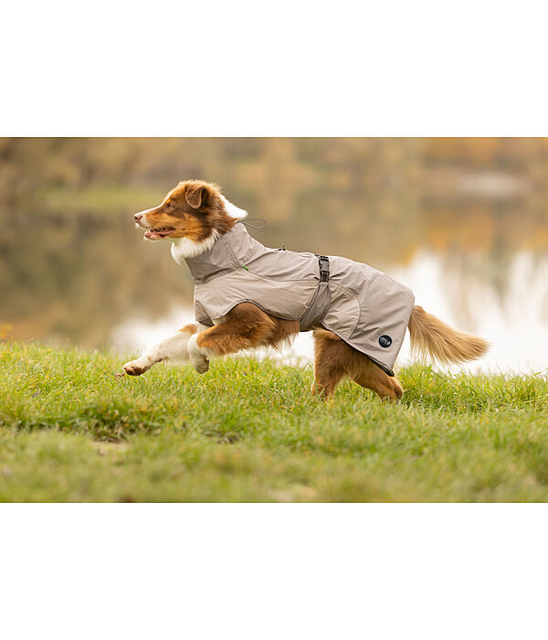 Lightweight Dog Raincoat Alma, 0g