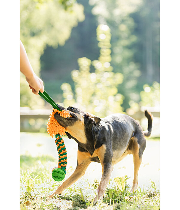 Dog Tug Toy Agi