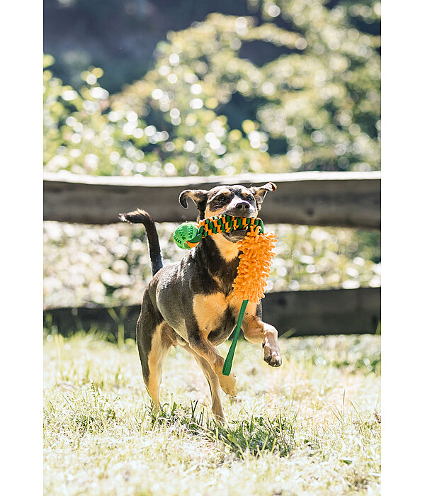 Dog Tug Toy Agi