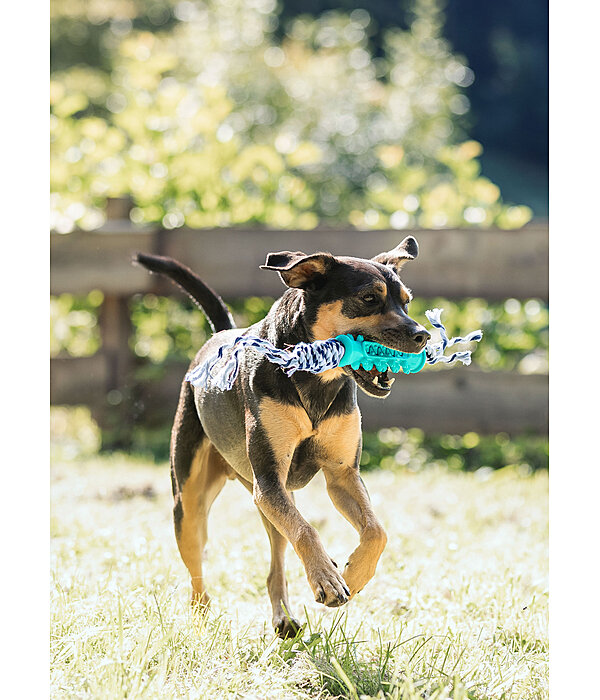 Teeth Cleaning Dog Toy Anny