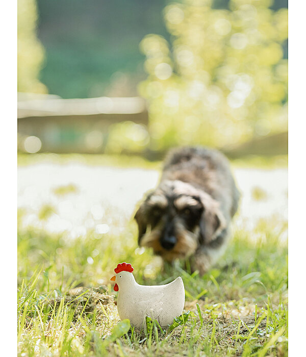 Squeaky Toy Chicken for Dogs