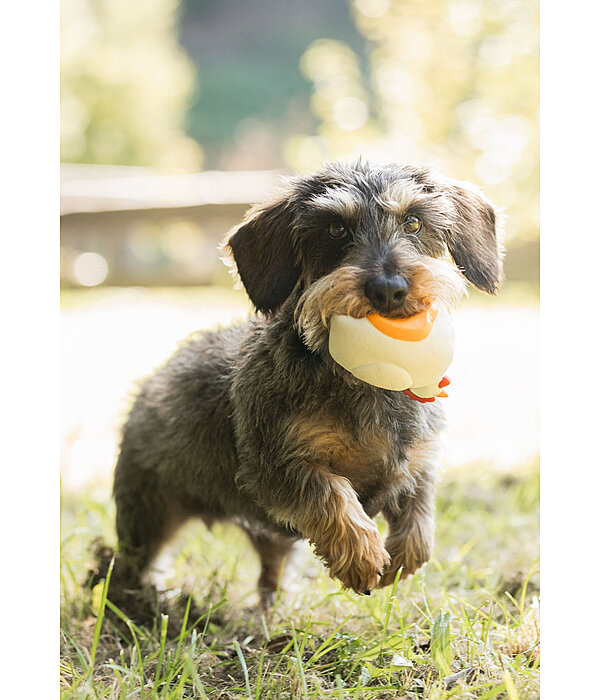 Squeaky Toy Chicken for Dogs