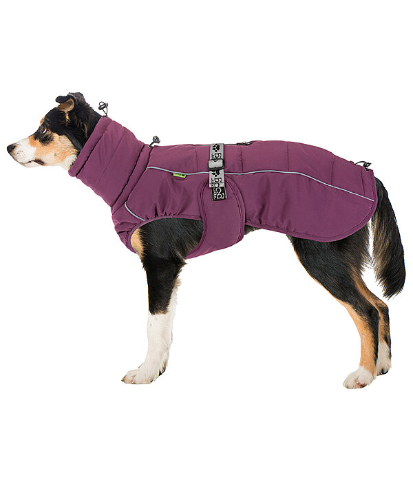 Winter Dog Coat Marlon, 200-300g