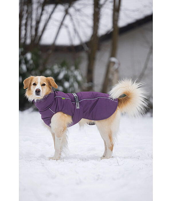 Winter Dog Coat Marlon, 200-300g