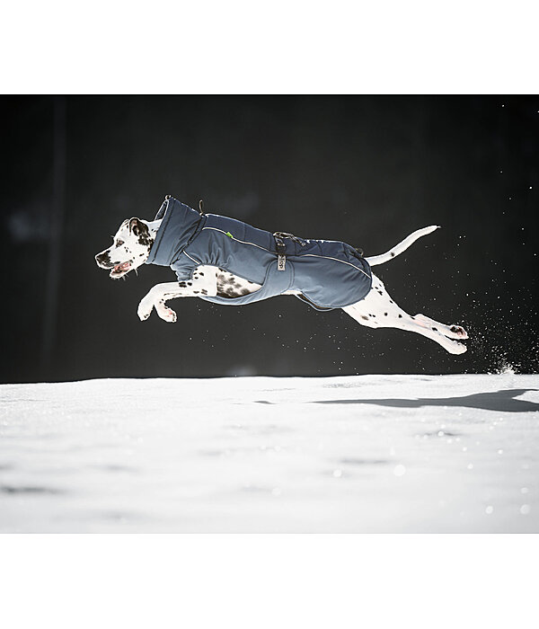 Winter Dog Coat Marlon, 200-300g