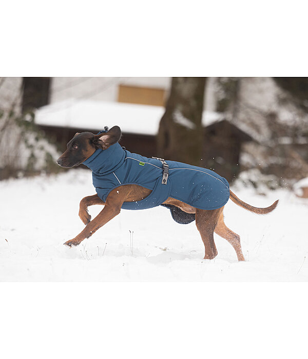 Winter Dog Coat Marlon, 200-300g