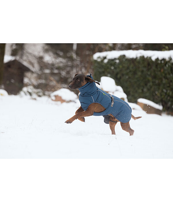 Winter Dog Coat Marlon, 200-300g