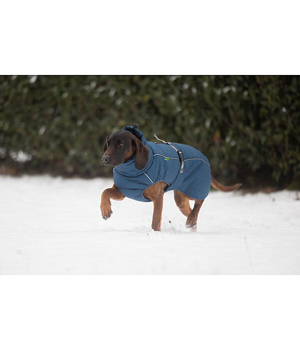 Winter Dog Coat Marlon, 200-300g