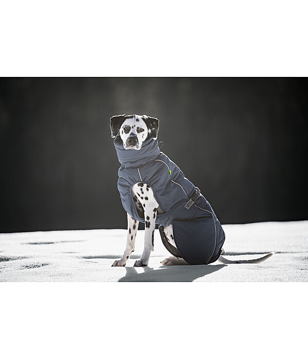 Winter Dog Coat Marlon, 200-300g