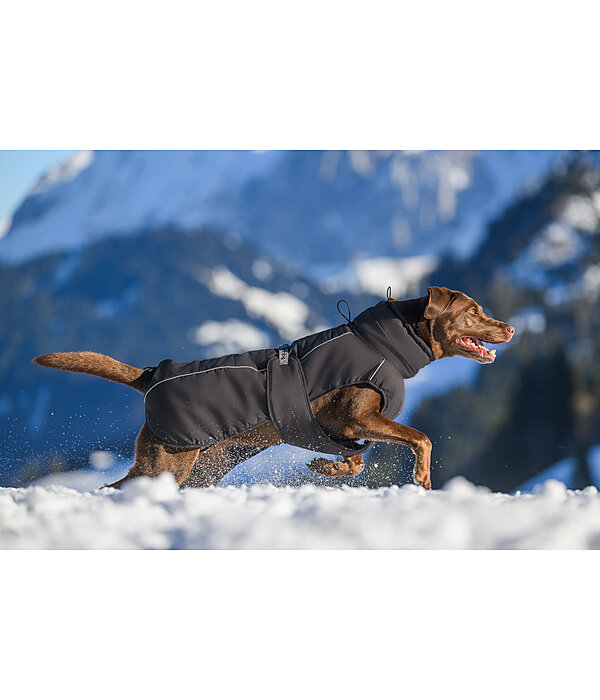 Winter Dog Coat Marlon, 200-300g