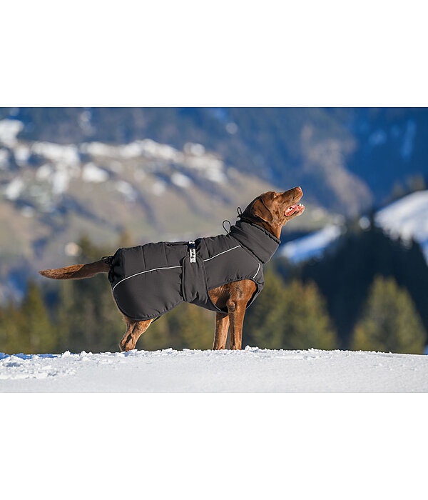 Winter Dog Coat Marlon, 200-300g