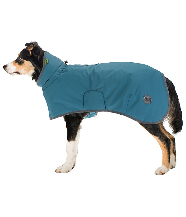 Dog Raincoat Winter Islands, 160g