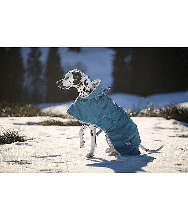 Dog Raincoat Winter Islands, 160g
