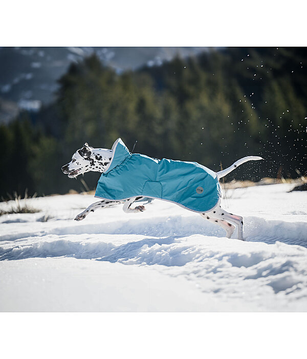 Dog Raincoat Winter Islands, 160g