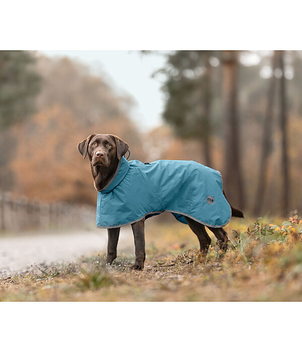 Dog Raincoat Winter Islands, 160g