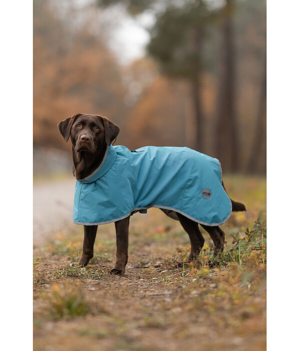 Dog Raincoat Winter Islands, 160g