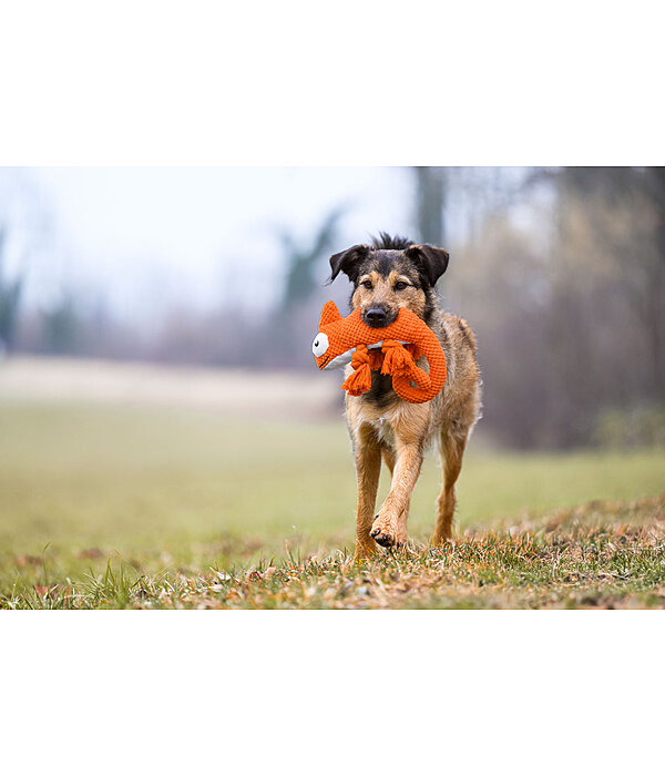 Dog Toy Chameleon