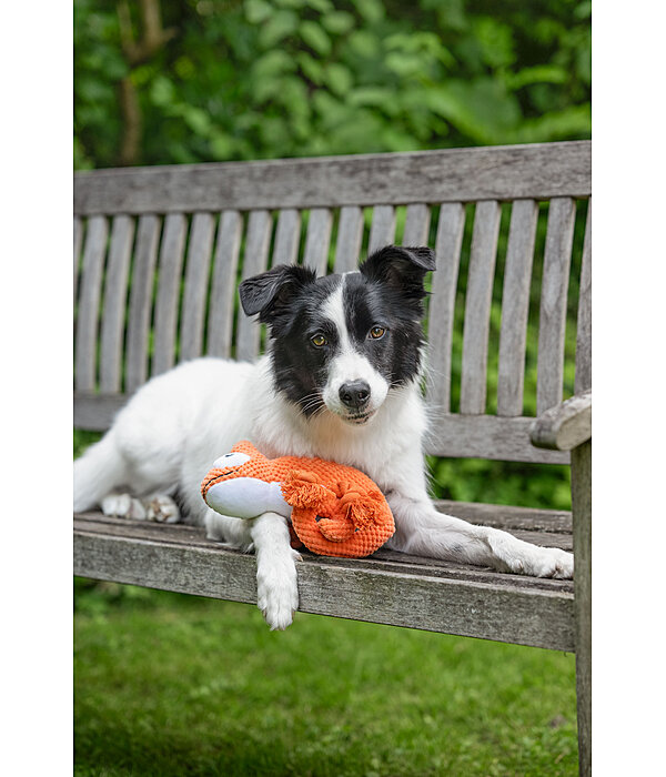 Dog Toy Chameleon