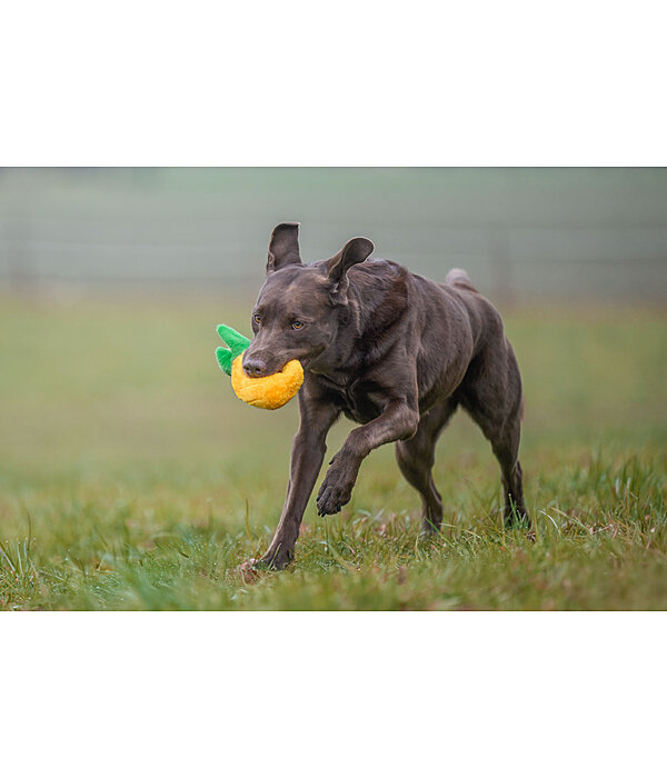 Dog Toy Pineapple