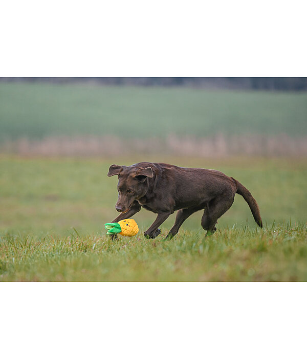 Dog Toy Pineapple