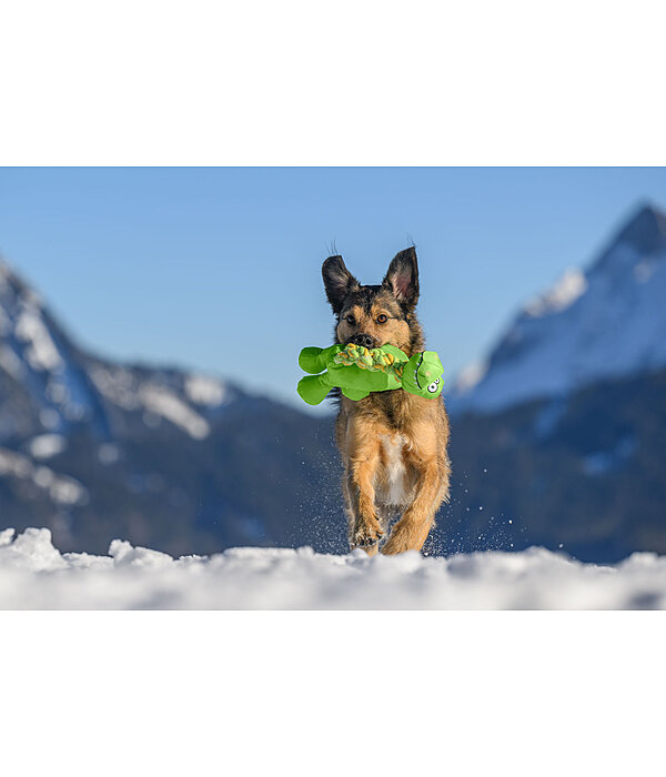 Dog Toy Strong Dino