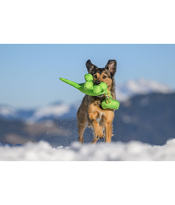 Dog Toy Strong Dino