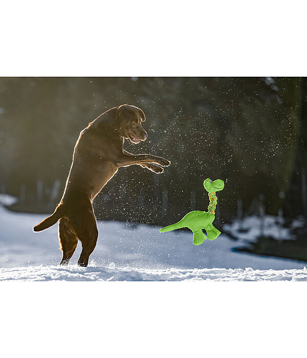 Dog Toy Strong Dino