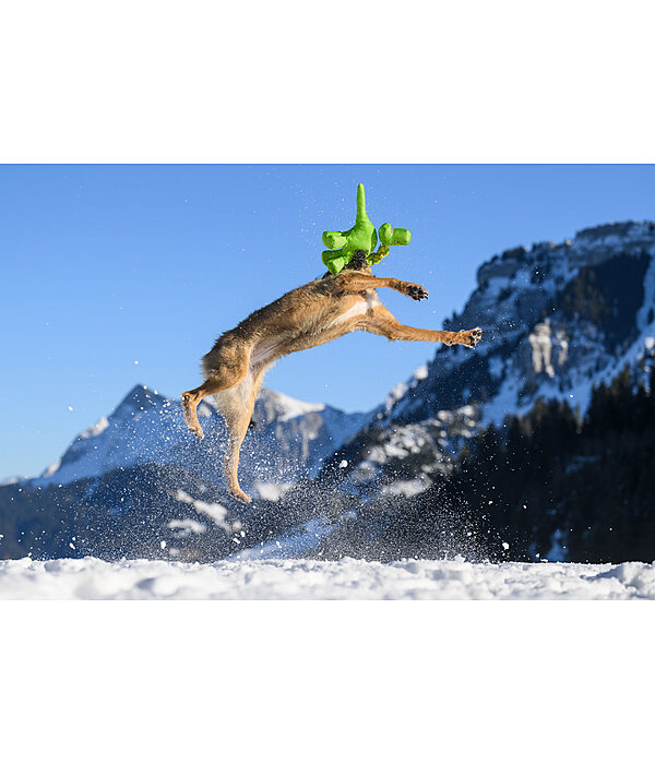 Dog Toy Strong Dino