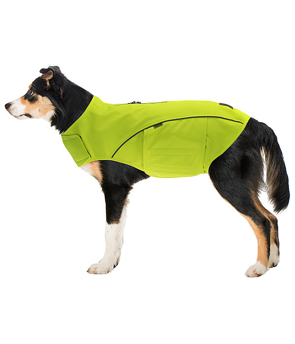 Hi-Vis Dog Vest