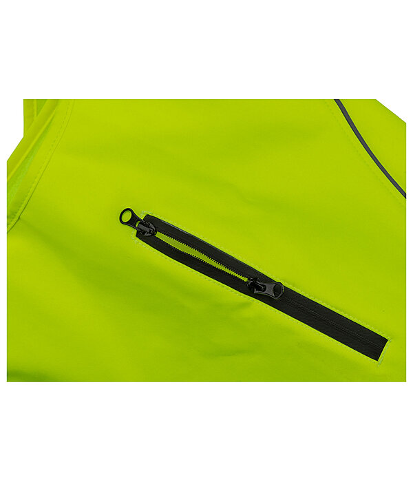 Hi-Vis Dog Vest