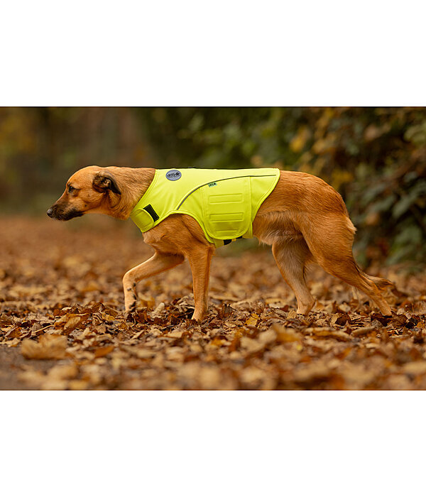 Hi-Vis Dog Vest