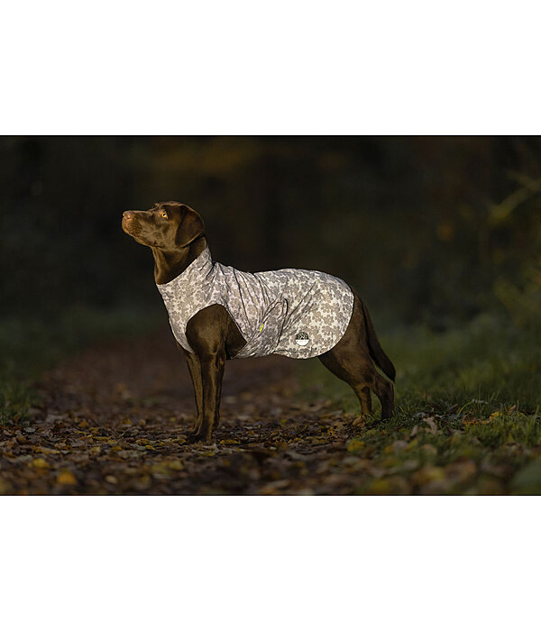 Hi-Vis Reflective Dog Raincoat To Go