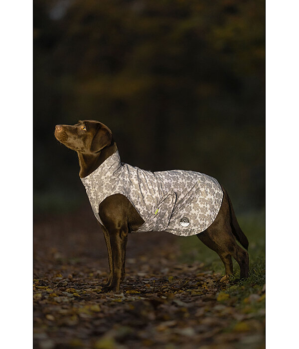 Hi-Vis Reflective Dog Raincoat To Go