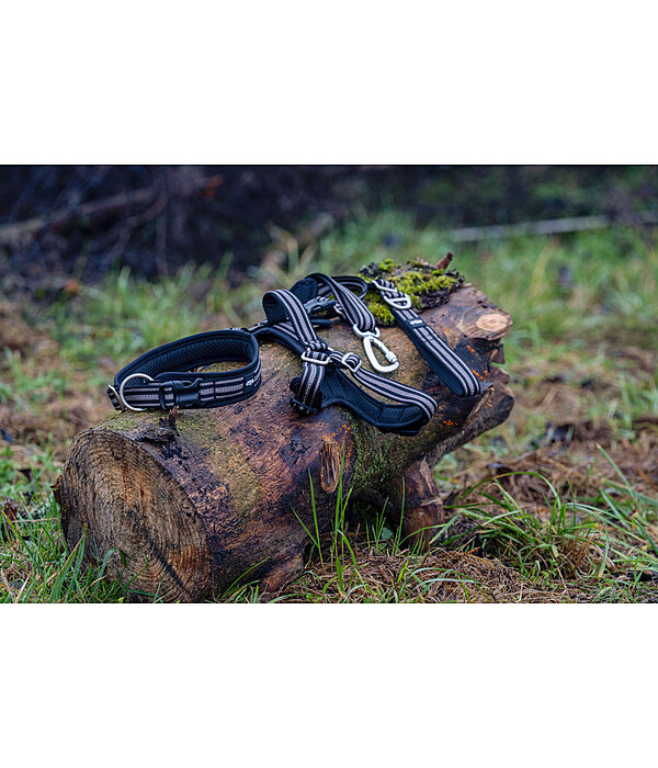 Dog Lead Comfort Fit