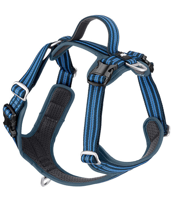 Dog Harness Comfort Fit