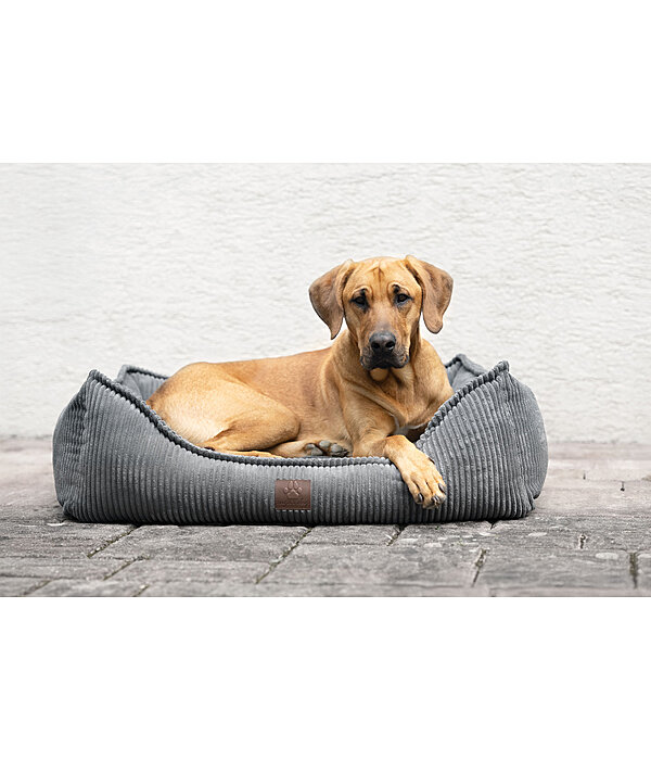 Dog Bed Cord